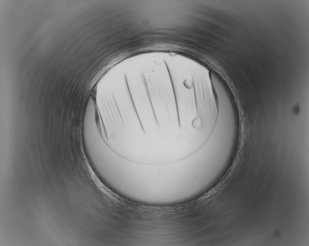 X0000115271425200912111153