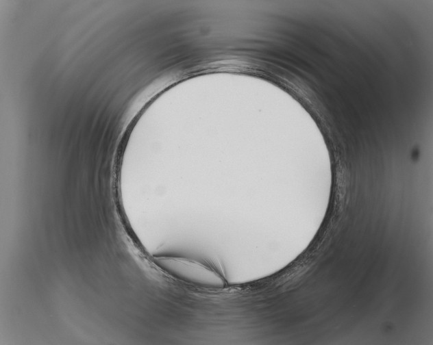 X0000115271426200912111153