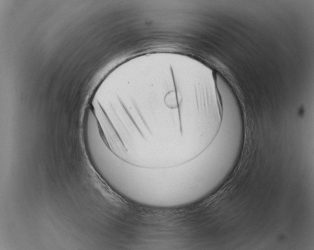 X0000115271427200912111153