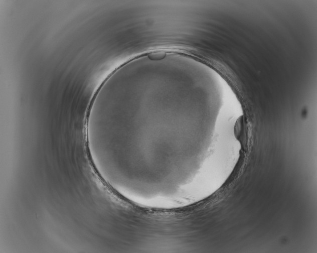 X0000115271428200912111153