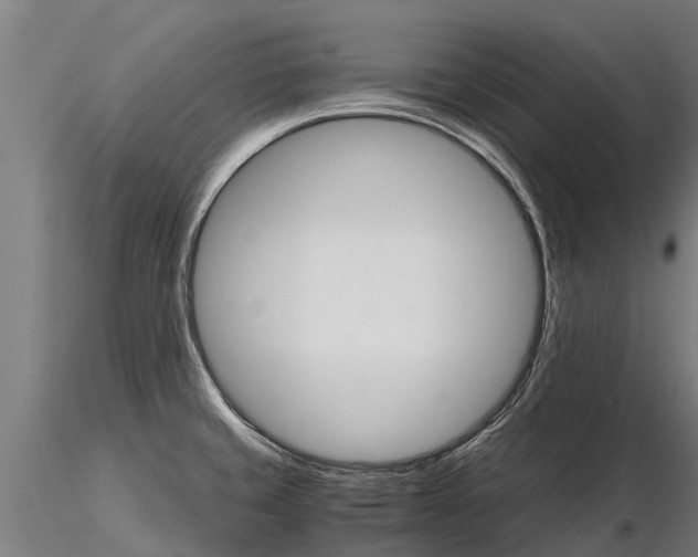 X0000115271429200912111153