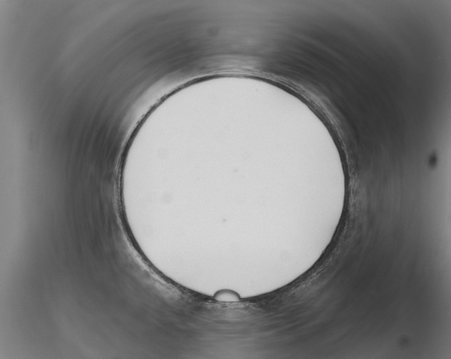 X0000115271432200912111153