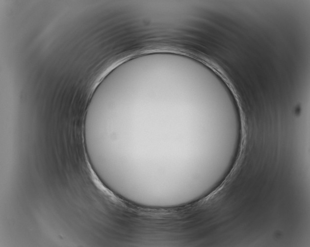 X0000115271433200912111153