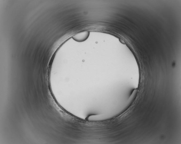 X0000115271434200912111153