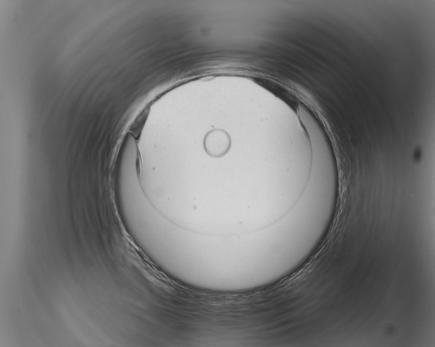 X0000115271435200912111153