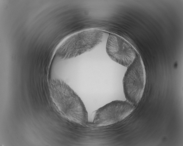 X0000115271436200912111153