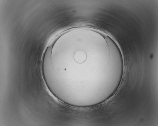 X0000115271437200912111153