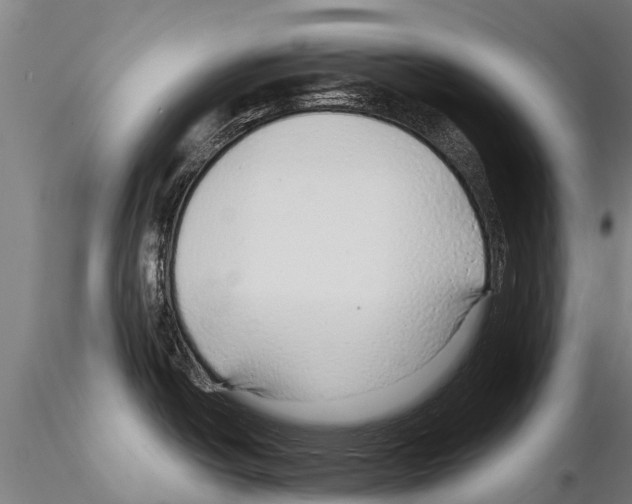 X0000115271438200912111153