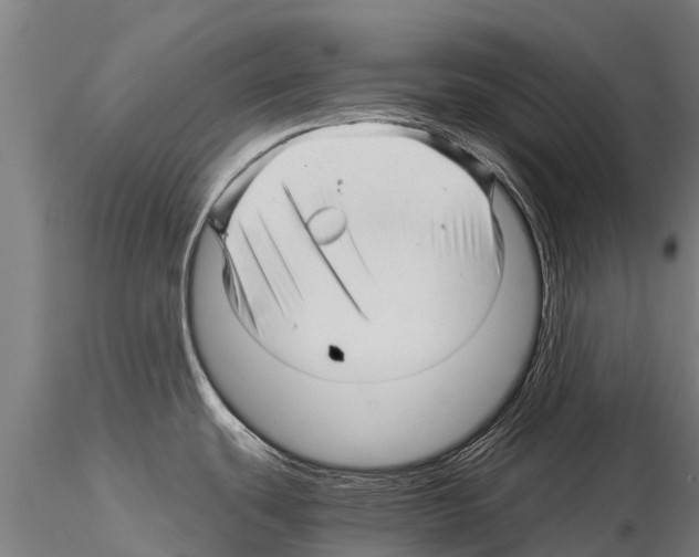 X0000115271439200912111153