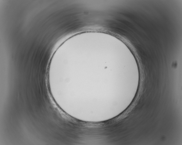 X0000115271440200912111153