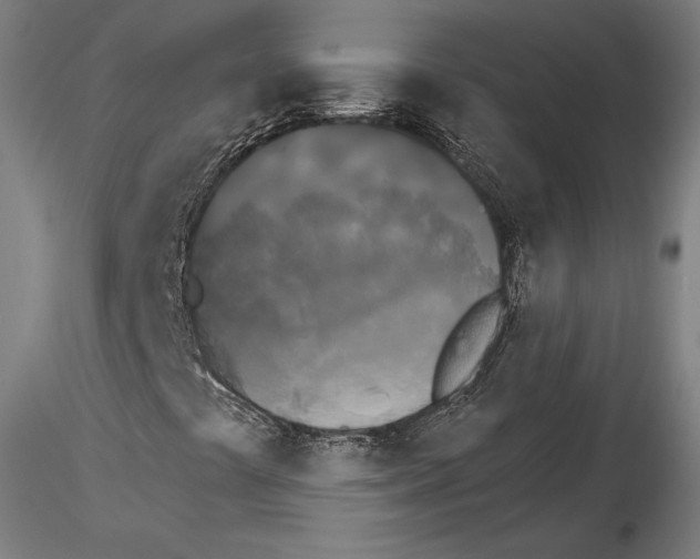 X0000115271441200912111152