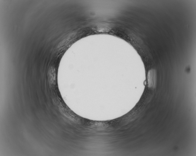 X0000115271443200912111152