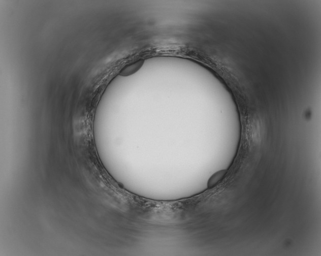 X0000115271445200912111152