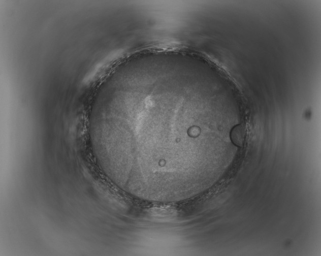 X0000115271447200912111152