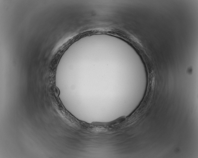 X0000115271448200912111152