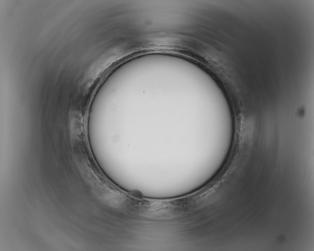 X0000115271449200912111152