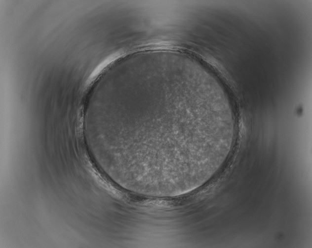 X0000115271450200912111152