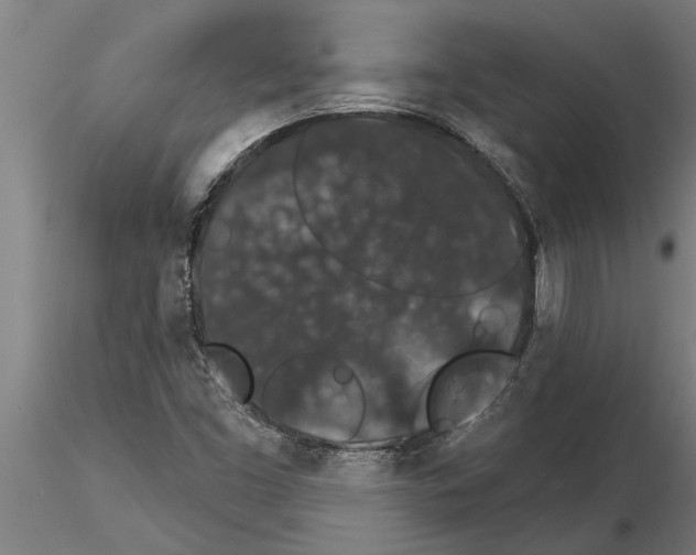 X0000115271453200912111152