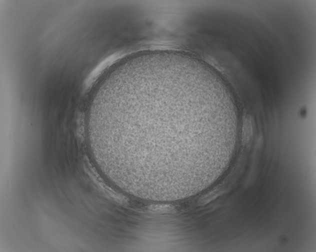 X0000115271454200912111152