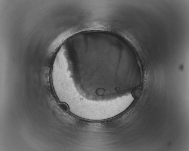 X0000115271455200912111152