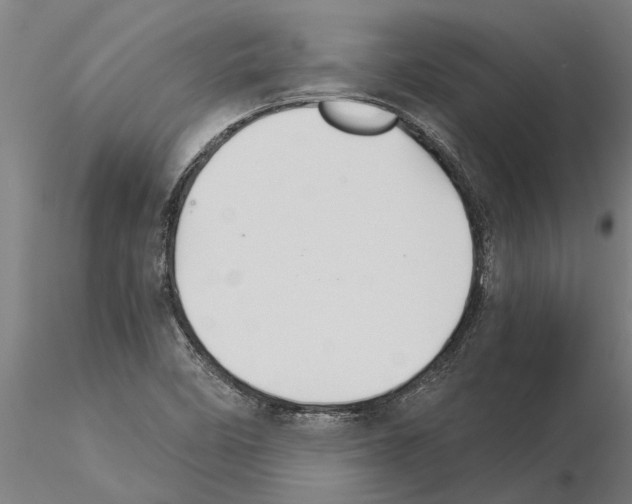 X0000115271458200912111152