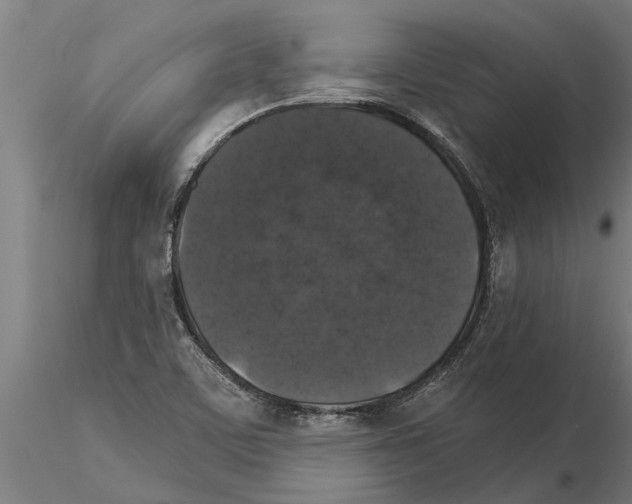 X0000115271459200912111152