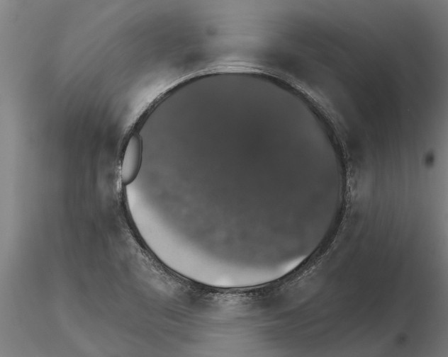 X0000115271461200912111152