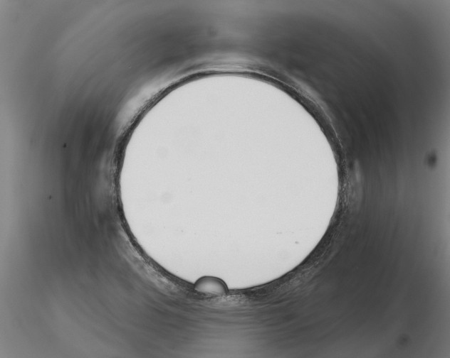 X0000115271464200912111152