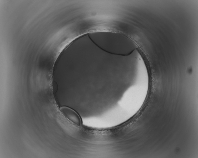 X0000115271465200912111152