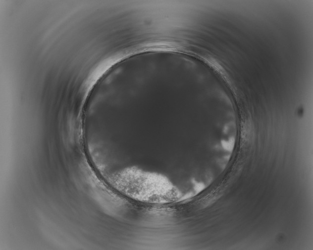 X0000115271466200912111152