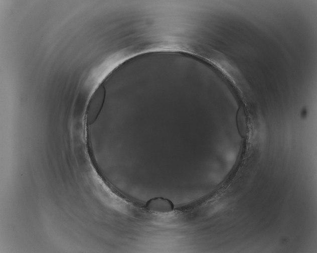 X0000115271468200912111152