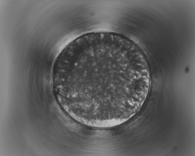 X0000115271469200912111152