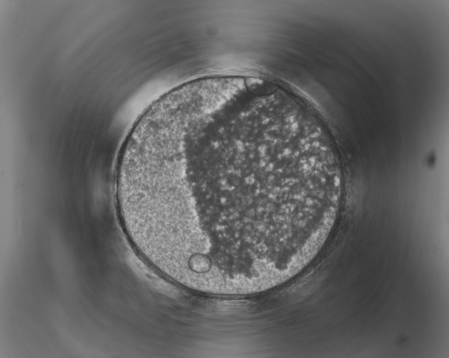 X0000115271471200912111152