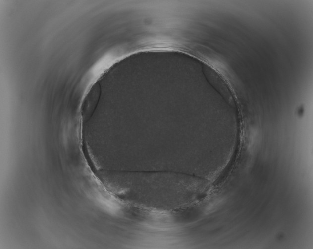 X0000115271472200912111152