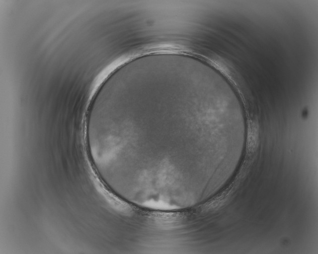 X0000115271474200912111152