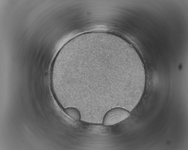 X0000115271475200912111152