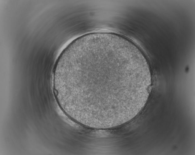 X0000115271476200912111152