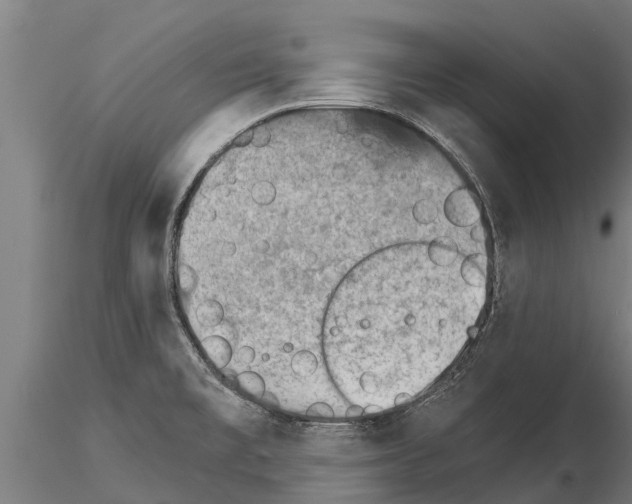 X0000115271477200912111152