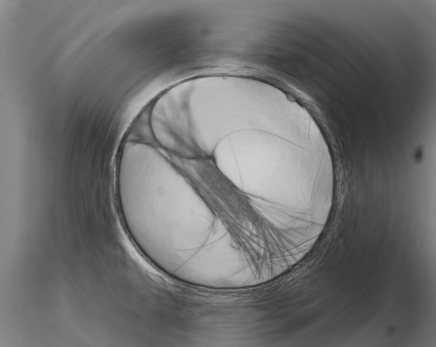 X0000115271479200912111152