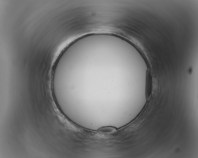 X0000115271480200912111152