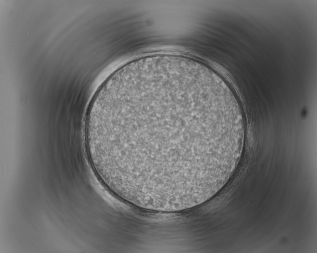 X0000115271482200912111152