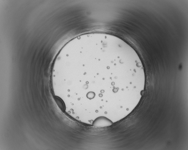 X0000115271483200912111152