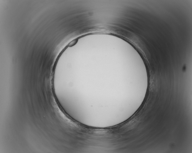 X0000115271484200912111152