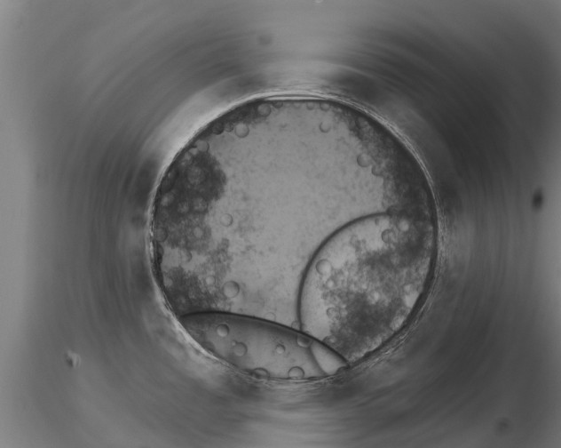 X0000115271485200912111152