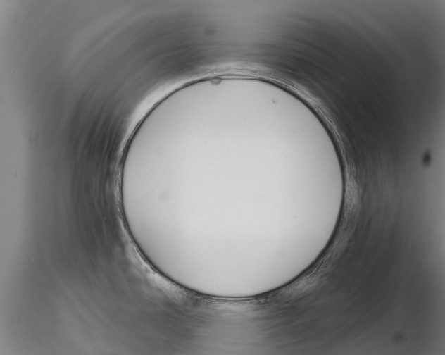 X0000115271486200912111152