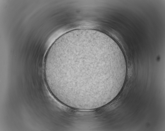 X0000115271487200912111152