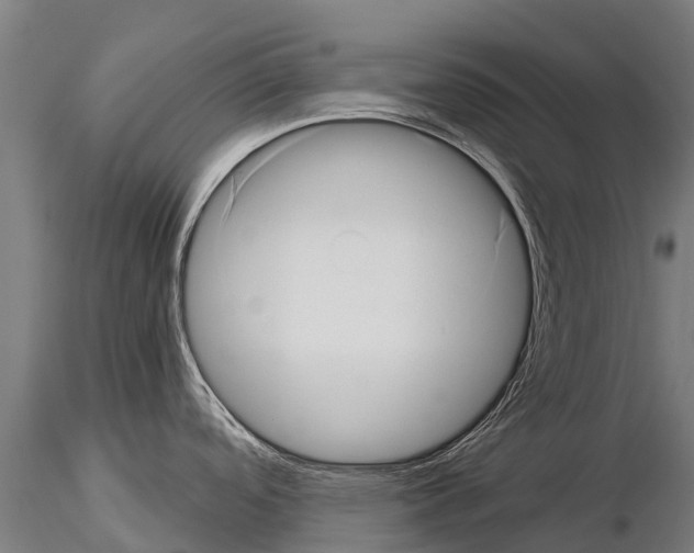 X0000115271488200912111152