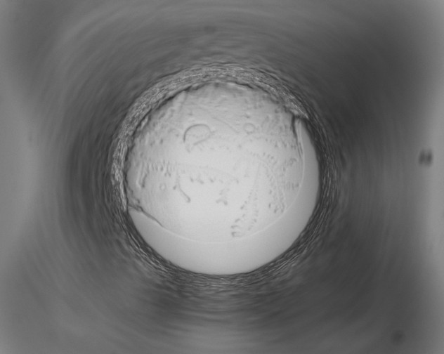 X0000115271489200912111151