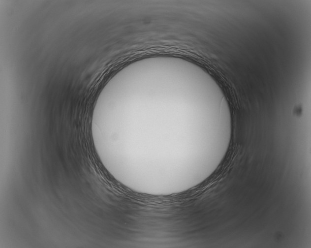 X0000115271491200912111151