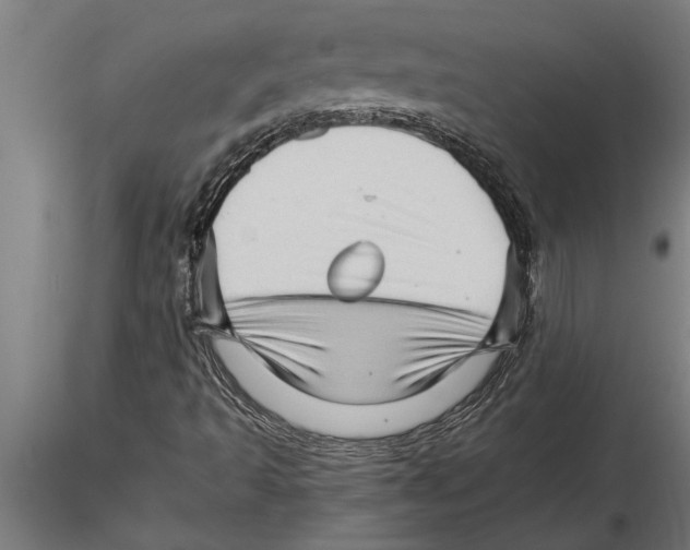 X0000115271493200912111151